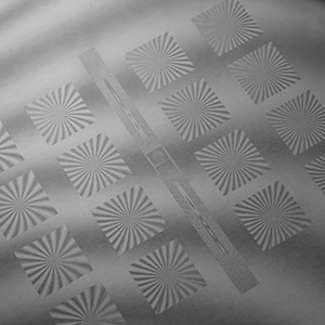 RPC PHOTONICSWԪɢƬ΢͸Ruλ